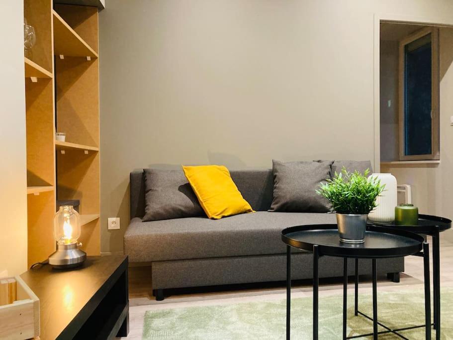 Vienne: Appartement Au Coeur Du Centre Historique เวียน ภายนอก รูปภาพ